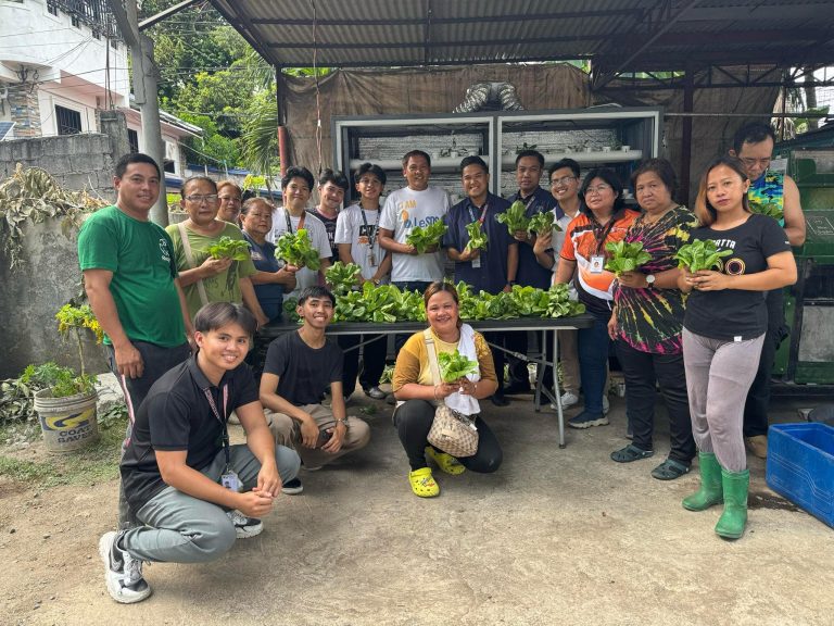 Continuing Success at Sharon Farm: Romaine Lettuce Harvested from Project COLDFRAME 2.0