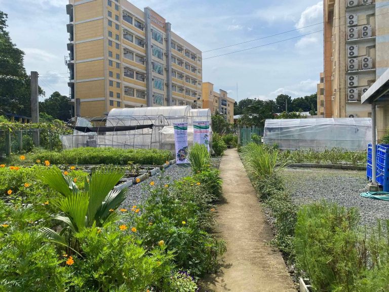 QCU Promotes Food Security through Urban Agriculture and Campus Gardening Initiatives